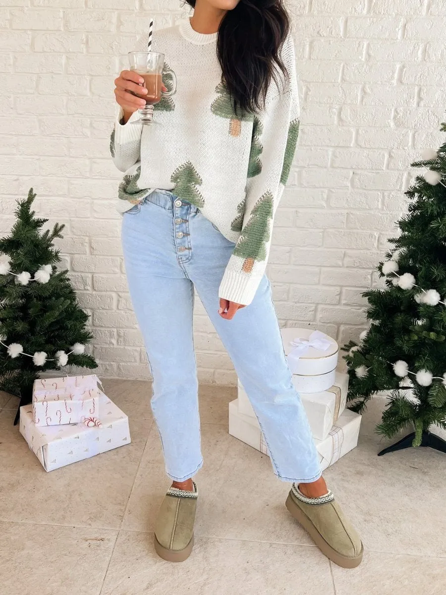 Cozy Warm Slipper Shoes
